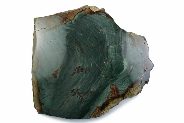 Gary Green Jasper (Larsonite) Bog Wood Slab - Oregon #377753